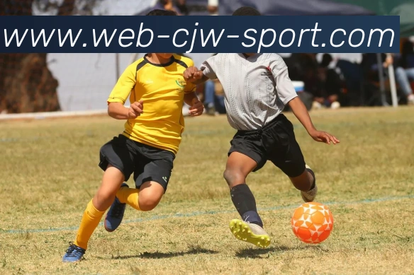 彩经网APP 体育赛事宣传图